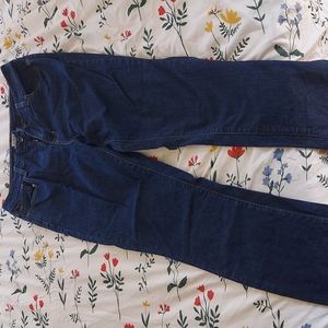 LL Bean classic fit dark denim jeans size 12 petite